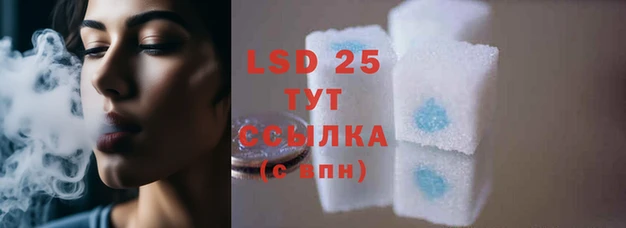 прущий лед Вязьма