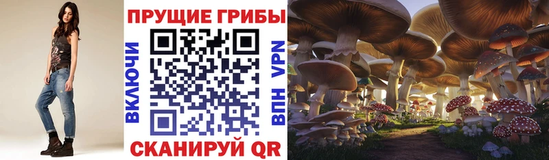 Купить закладки  Городище  Псилоцибиновые грибы мухоморы 